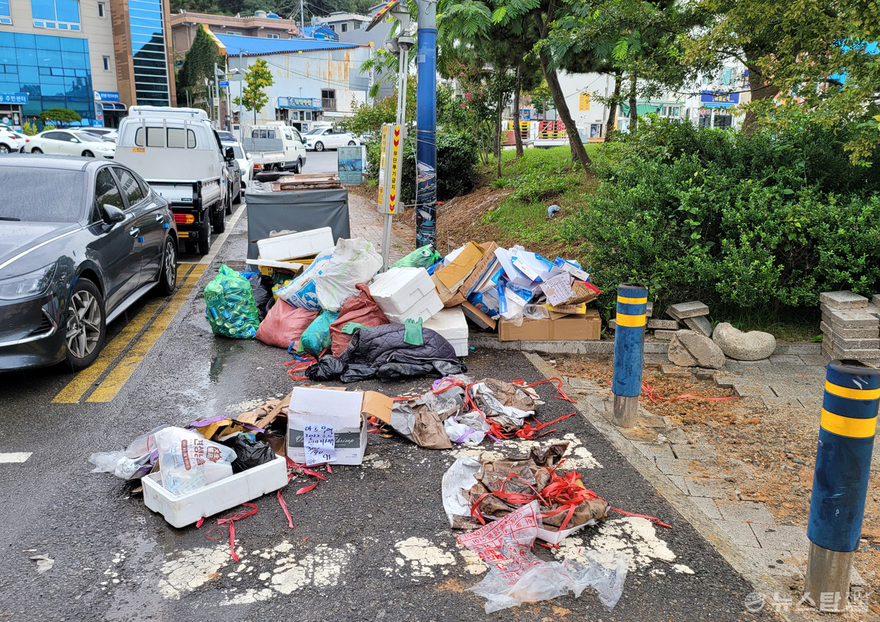 ▲ 5일 오전 이순신광장에서 종포해양공원 가는 길에 쓰레기가 널려 있다. (사진=마재일 기자)