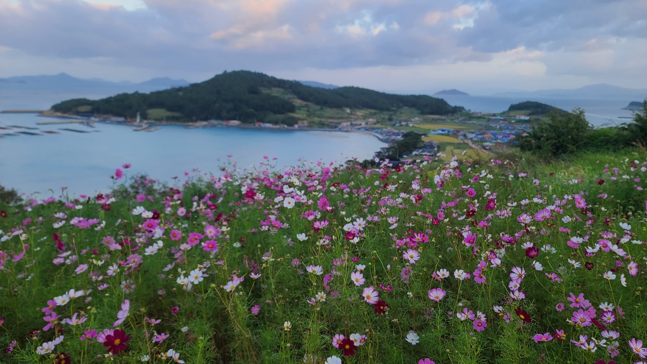 완도 청산도, '청정완도 가을 섬 여행' 행사